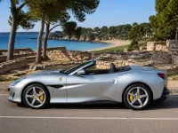Ferrari Portofino — side
