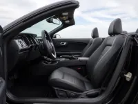 Ford Mustang Convertible — Innenraum