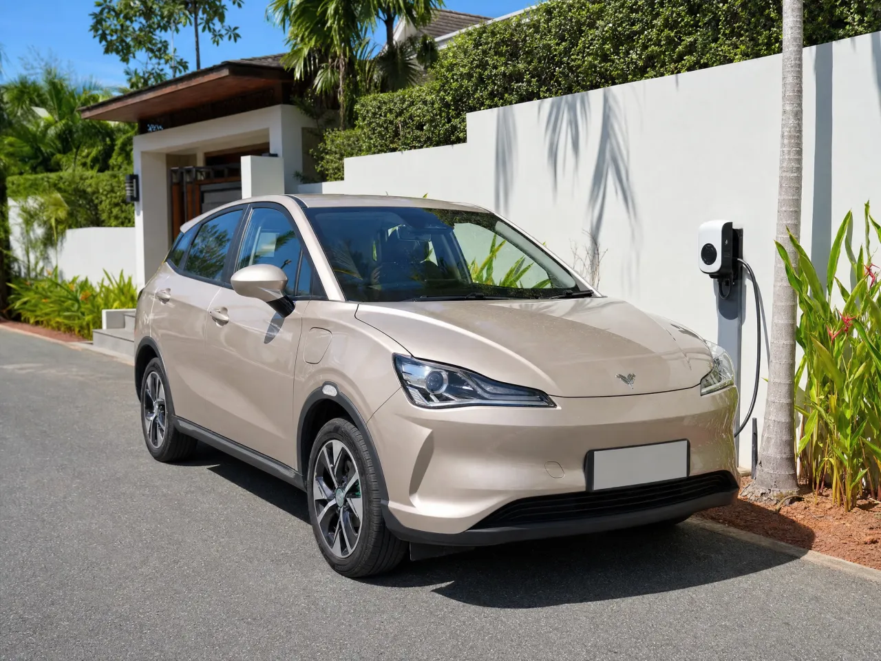 Neta V — front