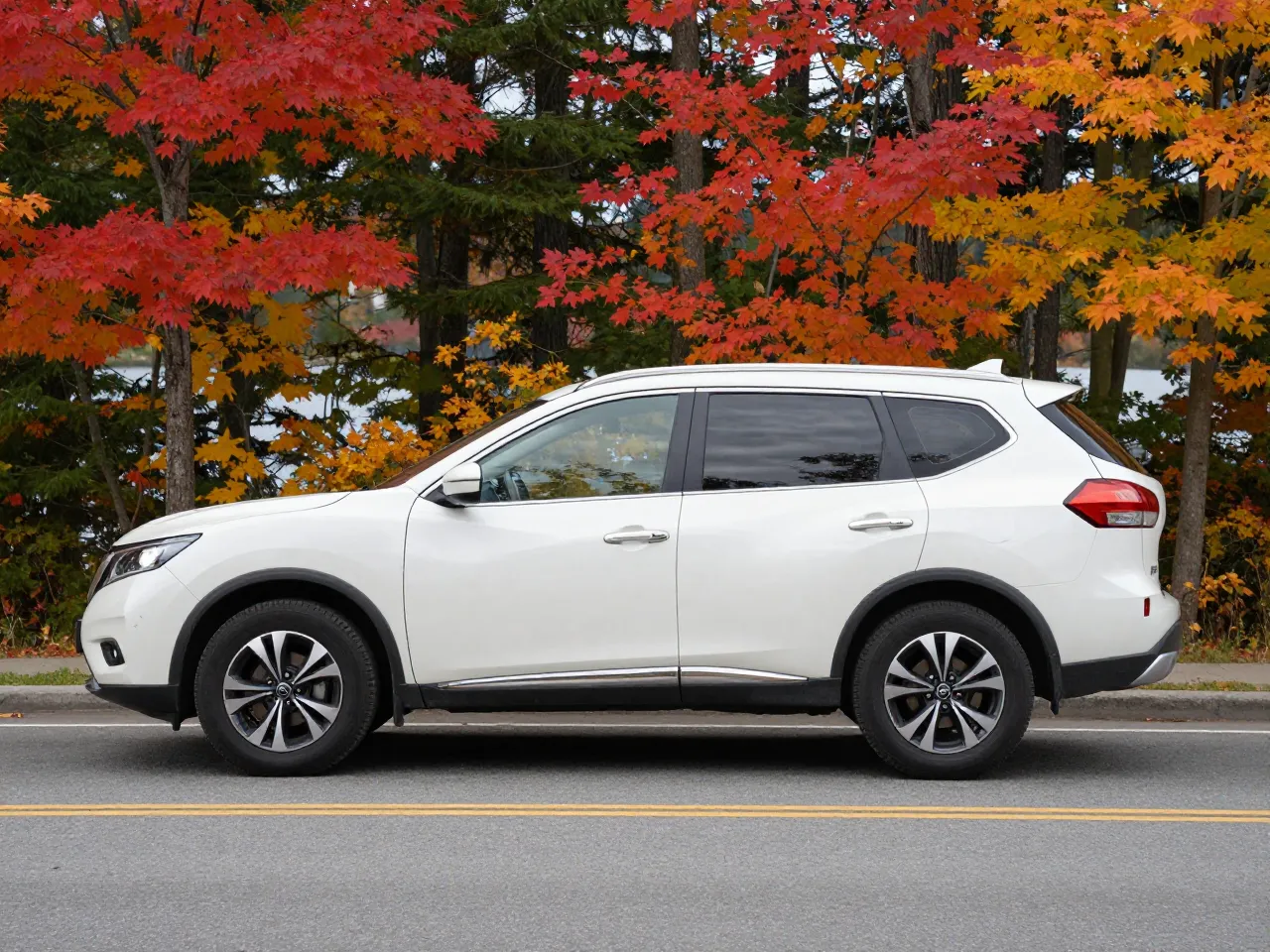Nissan Pathfinder — seitlich