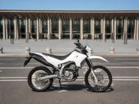 Honda CRF300L — पार्श्व