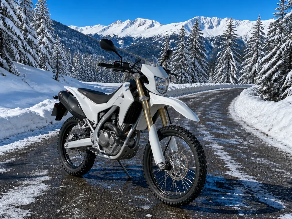 Honda CRF 300L