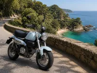 Honda Monkey 125 — front