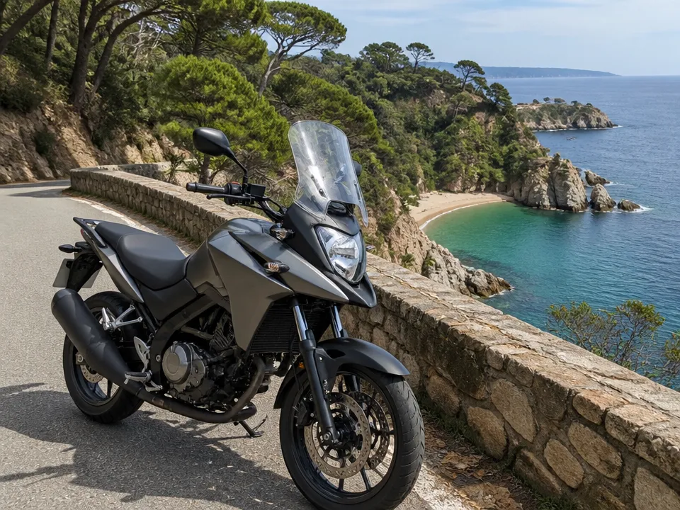 Suzuki V-Strom 650