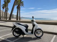 Honda Vision 110 — laterale