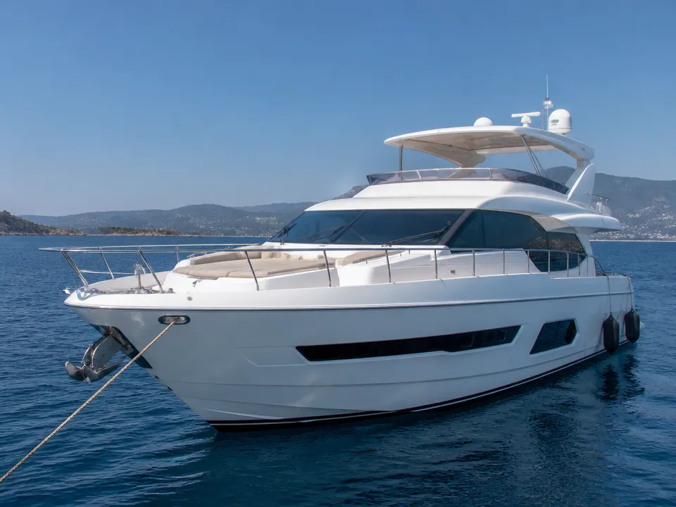 Majesty 56