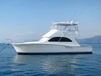Viking 43 — profil