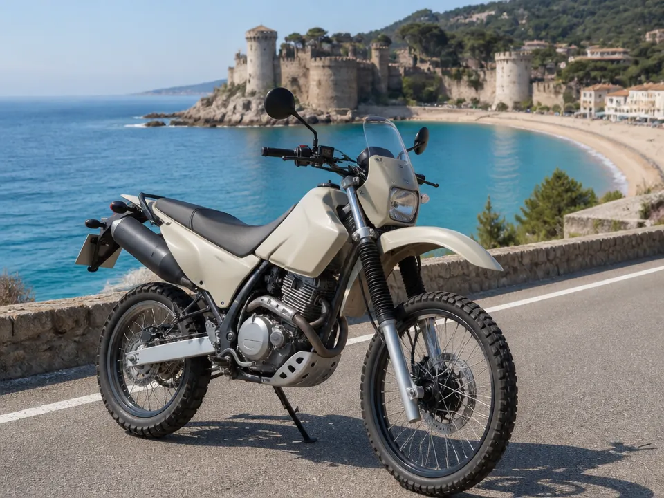 Kawasaki KLX650