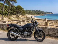 Kawasaki Zephyr 550 — profil