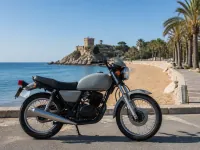 Yamaha SR 250 — profil