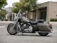 Harley-Davidson Road King — side