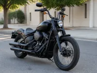 Harley-Davidson Street Bob 114 — спереди