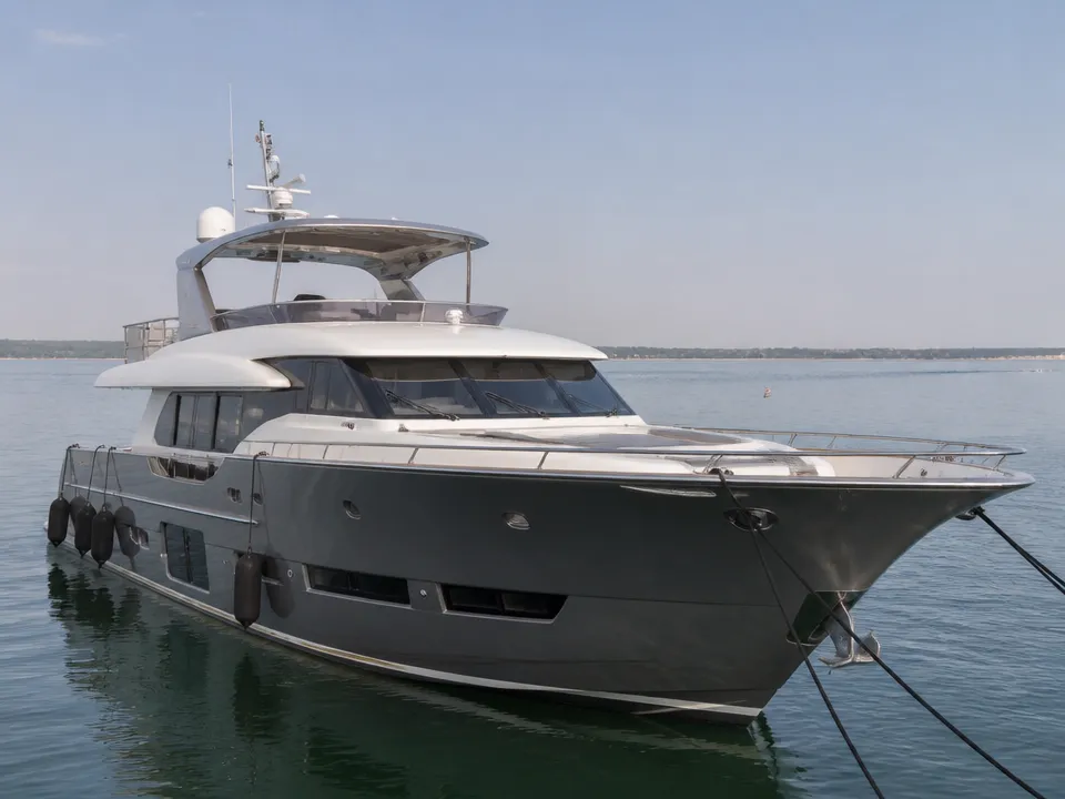 Explorer Goldeon Toro 51