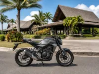 Honda CB300R — seitlich