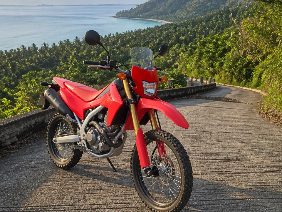 Honda CRF 300L