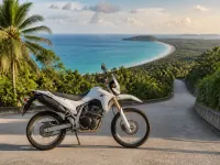 Honda CRF 300L — сбоку