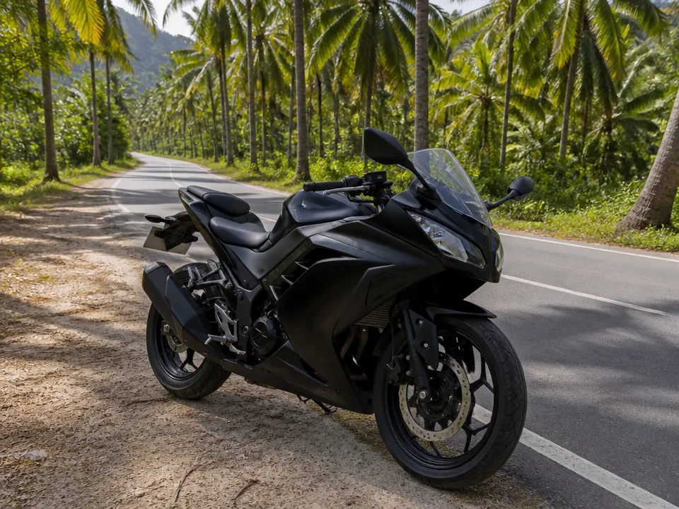Kawasaki Ninja 300