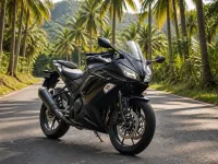 Kawasaki Ninja 300 — спереди