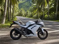 Kawasaki Ninja 300 — сбоку