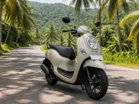 Honda Scoopy 110 — спереди