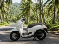 Honda Scoopy 110 — сбоку