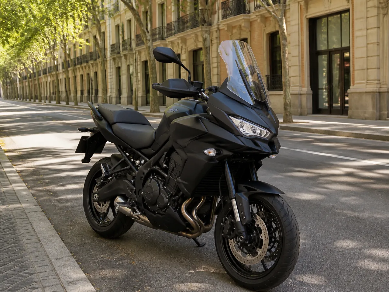 Kawasaki Versys 650 Tourer — anteriore