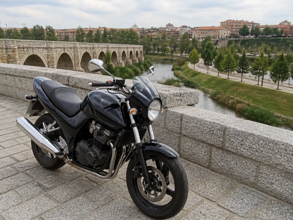 Suzuki Inazuma 250