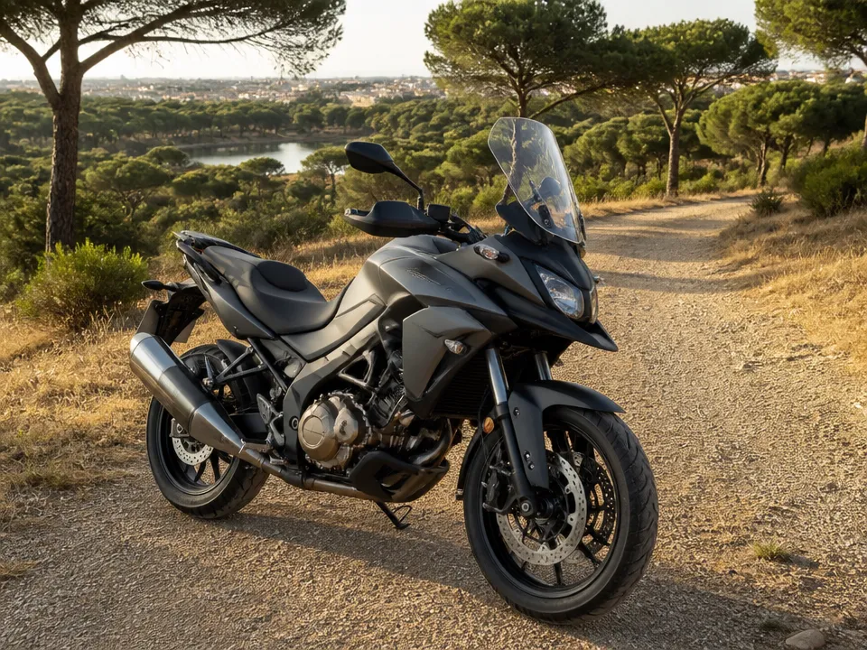 Suzuki V-Strom 1000
