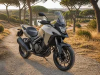 Suzuki V-Strom 1000 — vorn