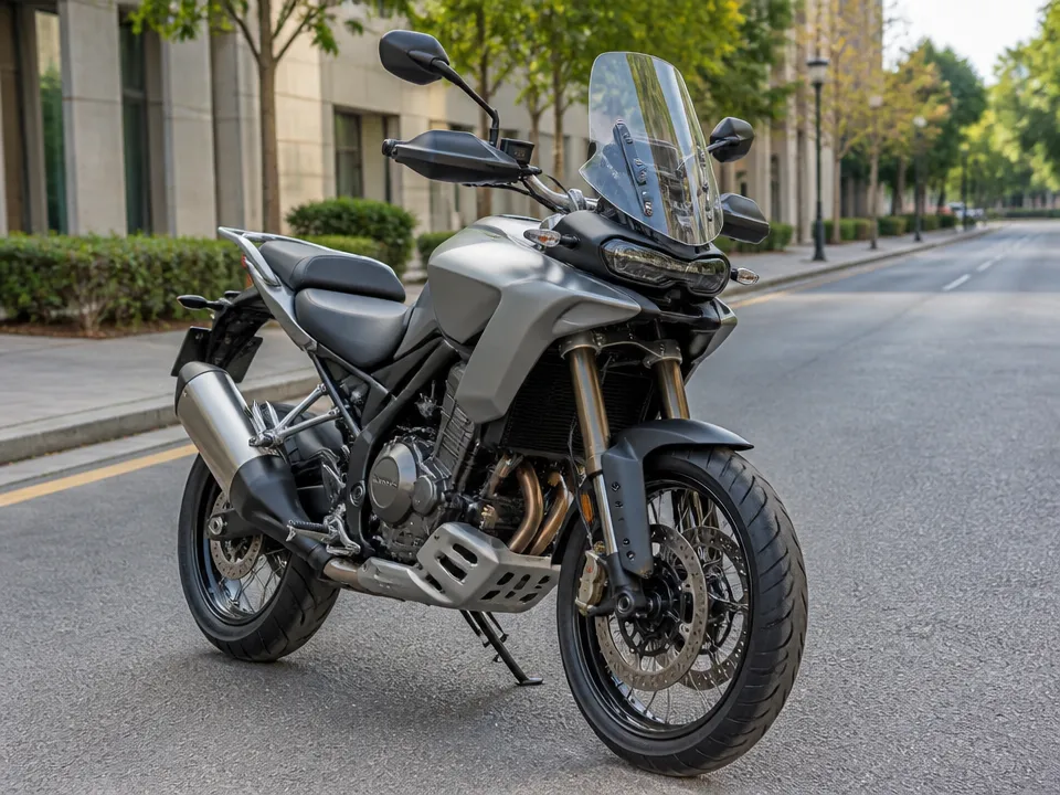 CFMoto Ibex 800S