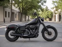 Harley-Davidson Dyna Street Bob — side
