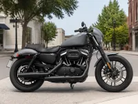 Harley-Davidson Sportster 1200 Roadster — lateral
