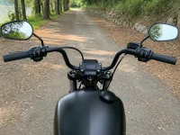 Harley-Davidson Street Bob 114 — detalle