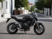 Honda CB650F — lateral