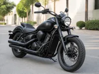 Kawasaki Vulcan 900 Custom — frontal
