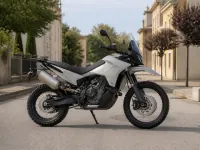 KTM 890 Adventure R — side