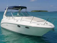 Sea Ray 260 Sundancer — सामने