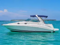 Sea Ray 260 Sundancer — पार्श्व