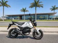 Honda MSX125 — पार्श्व