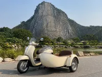 Honda Scoopy with sidecar — side