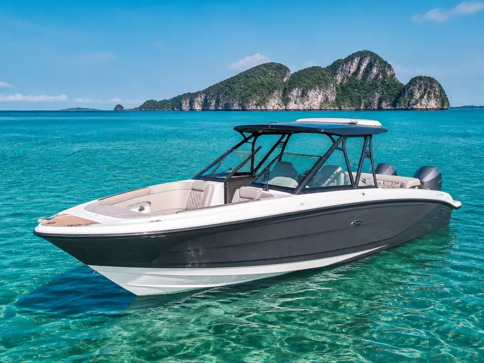 Custom Single Engine 250 hp, 31 ft