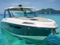 Custom Single Engine 250 hp, 31 ft — спереди