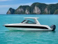 Custom Single Engine 250 hp, 31 ft — сбоку