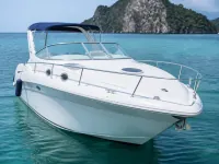 Sea Ray 270 Amberjack — спереди