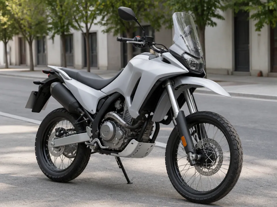 Honda CRF 250 Rally