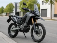 Honda CRF 250 Rally — спереди