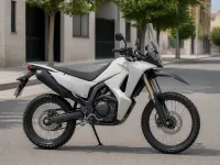 Honda CRF 250 Rally — сбоку