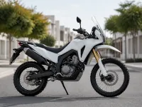 Honda CRF 300 Rally — seitlich