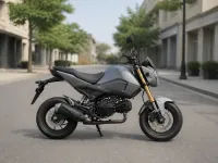 Honda MSX 125 — 侧面