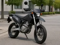 Kawasaki D-Tracker 250 — спереди